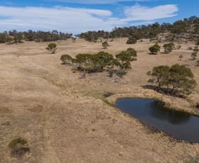 Rural / Farming commercial property sold at "Gurrabeal Farm" Billilingra Road Billilingra NSW 2630