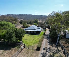 Rural / Farming commercial property for sale at 964 Warrah Creek Road Willow Tree NSW 2339