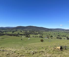 Rural / Farming commercial property sold at 53 McClellands Lane Tumbarumba NSW 2653