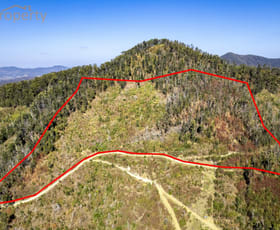 Rural / Farming commercial property sold at 337 Whip Mountain Road Yarranbella NSW 2447