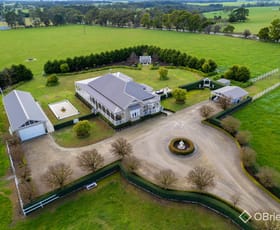 Rural / Farming commercial property for sale at 259 Stuhrs Road Darnum VIC 3822