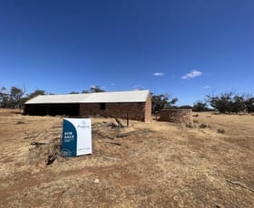 Rural / Farming commercial property sold at Section 65 Battens Road Sedan SA 5353