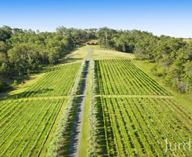 Rural / Farming commercial property for sale at 136 Talga Road Lovedale NSW 2325