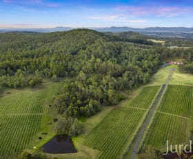 Rural / Farming commercial property for sale at 136 Talga Road Lovedale NSW 2325