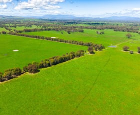 Rural / Farming commercial property for sale at . Pyle Road Londrigan VIC 3678