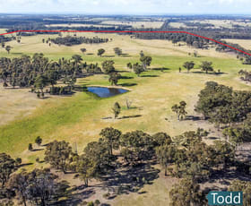 Rural / Farming commercial property for sale at Lot 2 Murphys Lane Toolleen VIC 3551