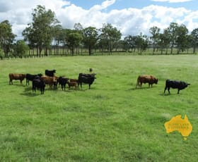 Rural / Farming commercial property for sale at 1171 BOOIE CRAWFORD ROAD Kingaroy QLD 4610