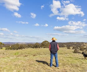 Rural / Farming commercial property sold at Treorchy & Lochinvar Rye Park Road Gunning NSW 2581