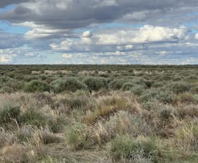 Rural / Farming commercial property sold at Booligal NSW 2711