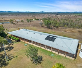 Rural / Farming commercial property sold at 314 McKenzie Road Alton Downs QLD 4702