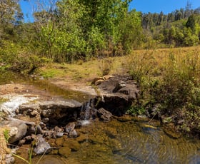 Rural / Farming commercial property sold at 148-150 Rowley Forest Road Caparra NSW 2429