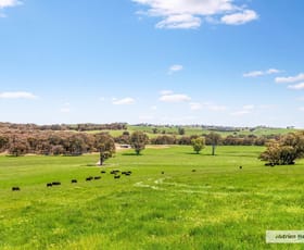 Rural / Farming commercial property for sale at 415 Duells Lane Glenaroua VIC 3764