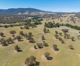 Rural / Farming commercial property sold at 127 Winburndale Dam Road Napoleon Reef NSW 2795