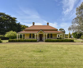 Rural / Farming commercial property for sale at 285 Plunkett Tce Millicent SA 5280