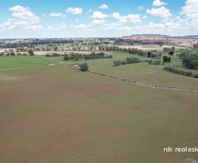 Rural / Farming commercial property for sale at Lot 331/647 Mount Russell Road Inverell NSW 2360