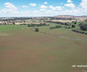 Rural / Farming commercial property sold at Lot 331/647 Mount Russell Road Inverell NSW 2360