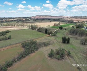 Rural / Farming commercial property for sale at 647 Mount Russell Road Inverell NSW 2360