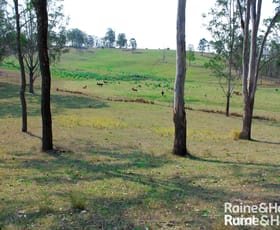 Rural / Farming commercial property for sale at 213 Dyraaba Road Piora NSW 2470