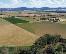 Rural / Farming commercial property sold at Lachlan Valley Way Gooloogong NSW 2805