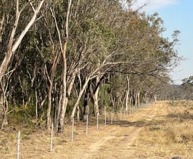 Rural / Farming commercial property for sale at 9 Back Creek Road Karara QLD 4352