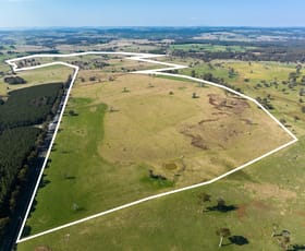 Rural / Farming commercial property sold at 1405 Campbells River Road Isabella NSW 2795