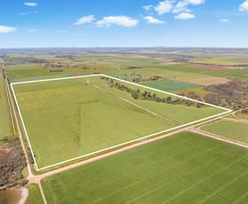 Rural / Farming commercial property sold at Cnr Bell & Brown Roads Colbinabbin VIC 3559