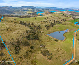 Rural / Farming commercial property for sale at LOT 1/531 Delmore Road Wattle Hill TAS 7172