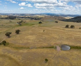 Rural / Farming commercial property for sale at "Araluen" 273 McLachlans Road Manildra NSW 2865