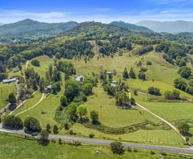 Rural / Farming commercial property for sale at 198-220 Tyalgum Road Murwillumbah NSW 2484