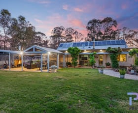 Rural / Farming commercial property sold at 40 Reyn Road Sedgwick VIC 3551