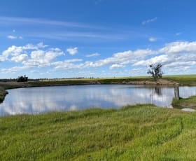 Rural / Farming commercial property sold at 2276 Kojonup-Katanning Road Carrolup WA 6317