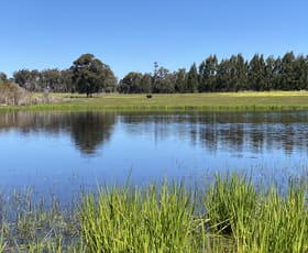 Rural / Farming commercial property for sale at 526 Ralston Road (Dixvale) Manjimup WA 6258