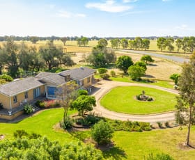 Rural / Farming commercial property for sale at 533 Redlands Road Corowa NSW 2646