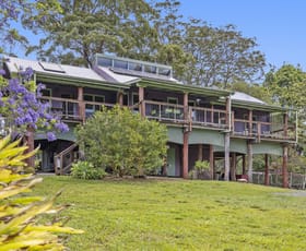 Rural / Farming commercial property sold at 1111 Bowraville Road Bellingen NSW 2454