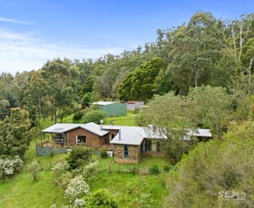 Rural / Farming commercial property sold at 115 Denhams Road Hallston VIC 3953