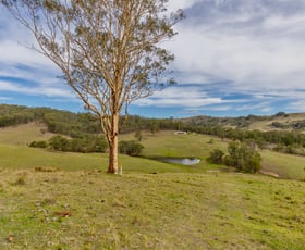 Rural / Farming commercial property for sale at 1712 Stroud Hill Road Dungog NSW 2420