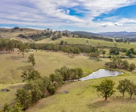 Rural / Farming commercial property for sale at 1712 Stroud Hill Road Dungog NSW 2420