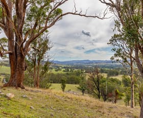 Rural / Farming commercial property sold at 1712 Stroud Hill Road Dungog NSW 2420