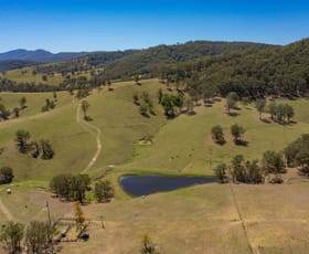 Rural / Farming commercial property for sale at 1712 Stroud Hill Road Dungog NSW 2420