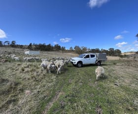 Rural / Farming commercial property for sale at Lot 188 Hanworth Road Bannaby NSW 2580