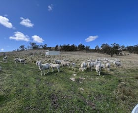 Rural / Farming commercial property for sale at Lot 188 Hanworth Road Bannaby NSW 2580