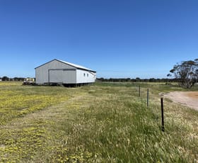 Rural / Farming commercial property for sale at 5566 Tie Line Road Mindarabin WA 6336