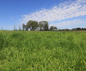 Rural / Farming commercial property for sale at 2222 Spooners Gap Road Bellata NSW 2397