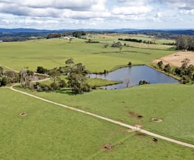 Rural / Farming commercial property for sale at 1353 Oldina Road Oldina TAS 7325