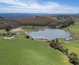 Rural / Farming commercial property for sale at 381 Lowries Road Oldina TAS 7325