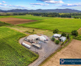 Rural / Farming commercial property for sale at L19 Bruce Hwy Fitzgerald Creek QLD 4860