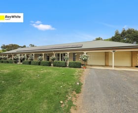 Rural / Farming commercial property sold at 199 Brungle Road Tumut NSW 2720