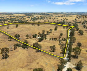 Rural / Farming commercial property sold at 362 Rhine Park Road Eden Valley SA 5235