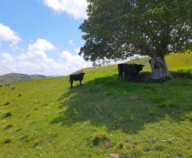 Rural / Farming commercial property for sale at Lot 1/760 Sugarloaf Road Dungog NSW 2420