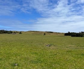 Rural / Farming commercial property sold at 391 North Road Currie TAS 7256